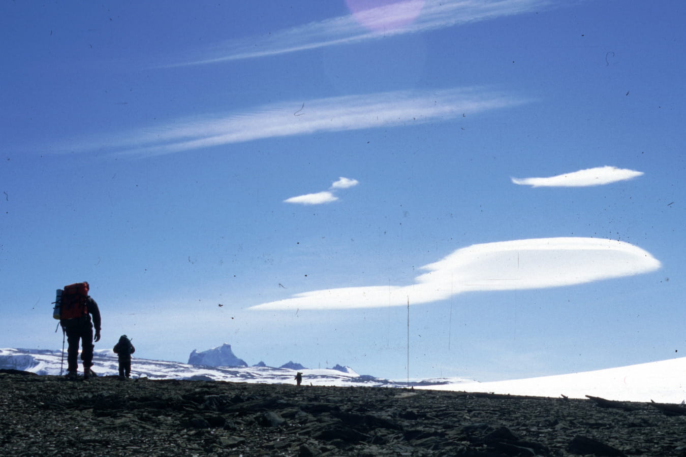 Ice Trekking fitz Roy expediciones